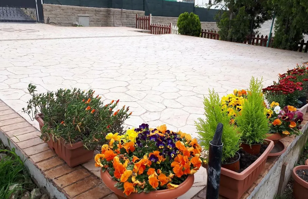 Bed And Breakfast Angolo Fiorito-1