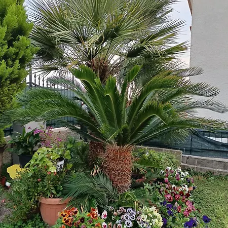 Bed And Breakfast Angolo Fiorito-3