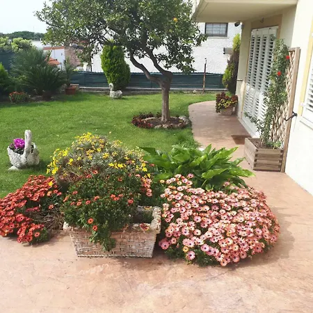 Bed And Breakfast Angolo Fiorito-2